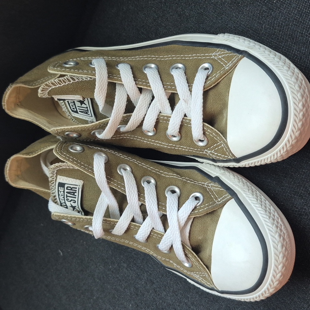 Converse Chuck Taylor All Star Low Top Sneakers